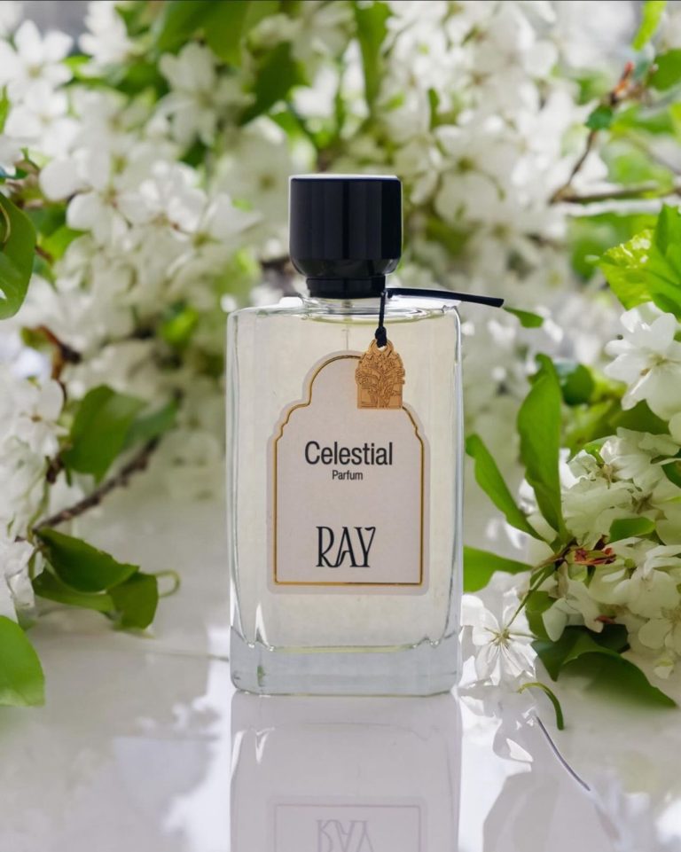 1707901551_11cf9535-f4f8-4c5d-8423-e28b6692b52c